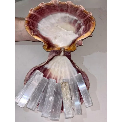 Selenite - Price Per Piece